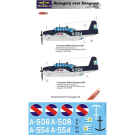 Decal Grumman TBM-3E / TBM-1C Rächer über Uruguay Teil I. 2 Abziehbildoptionen für das Hasegawa-Kit 