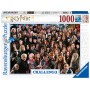 Puzzle 1000 p - Harry Potter (Herausforderungspuzzle) 