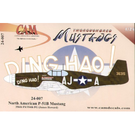 Decal North American P-51B Mustang (1) 36315 AJ-A 356FS James Howard Ding Hao! 