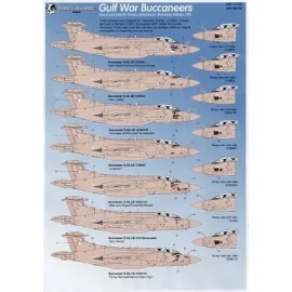 Gulf War Blackburn Buccaneers 1991. Includes allemand 13 aircraft from Operation Granby. Sky Pirates flags Scotch Whiskey names 