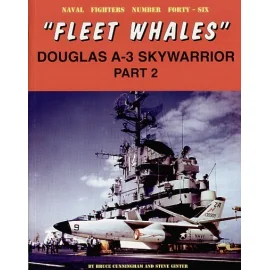 Fleet Whales Douglas A-3 Skywarrior part 2 