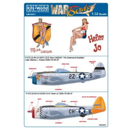 Decal Republik P-47D-28-RA Thunderbolt WAS. 42-28972 2Z-S 'Miss CAESAR / The Greenpoint Gladiator' 