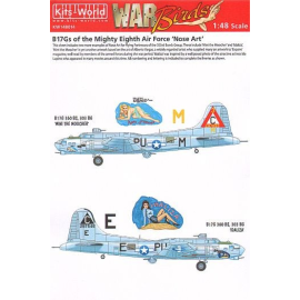 Decal Boeing B-17G Flying Fortress 360th BS 303rd BG 8th Air Force Nose Art (2) 