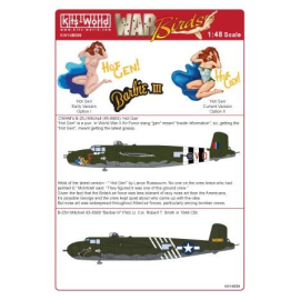 Decal North-American Mitchell CWHM's B25J Mitchell 'Hot Gen' 45-8883 Mitchell B-25H Mitchell 'Barbie III Pilot Lt Col Robert T. 