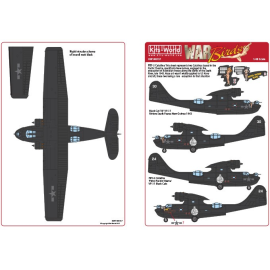 Decal Black Cat '30' VP-11, Riviere Sepik, Papua-Neuguinea 1943. Konsolidierte PBY-5 Catalina 'Pistol Packin' Mama' VP-11 Black 