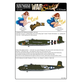 Decal Nordamerikanische Mitchell B25J 'Hot Gen' 45-8883 CWHMs; B-25H 'Barbie III Pilot Oberstleutnant Robert T. Smith 1944 CBI 