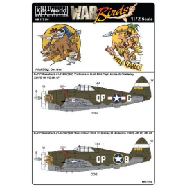 Decal Republic P-47C 'Razorback' 41-6358 QP-G 'California or Bust' Pilot Captain Archie W Chatterley 