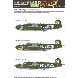 Decal Consolidated B-24 Liberator Nummerierungs- und Beschriftungs-ID-Set (Camouflage Finish) 