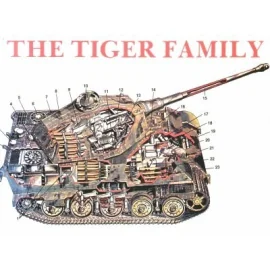 The Tiger Family