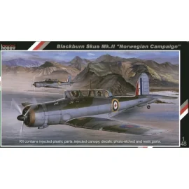 Blackburn Skua Mk.II. Der Blackburn Skua war ein fremdes Flugzeug. Es verband die Rollen sowohl des Jägers als auch Tauchen-Bomb