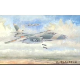 Harbin H-5 bomber