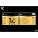 HUNTER X HUNTER - Gon & Killua - Goldenes Ticket Limited Edition Golden Ticket