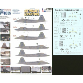 Decal Lockheed Martin F-22A Tyndall's Raptors (3) 024040 325FW/TY Flagship 014018 43FS/TY Flagship 02-034/TY allemand Tyndallema