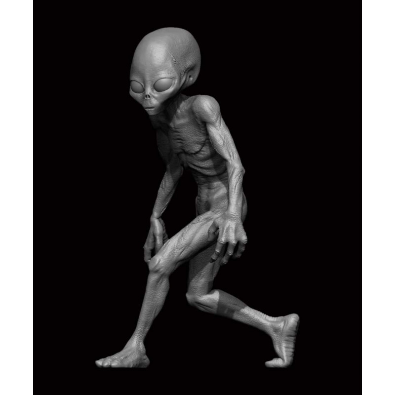 Ion Model Figur Grey Alien 3d Printed Grey Alien Figure Expertly 