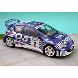 PEUGEOT 206 WRC CONDROZ 2003 LOIX 