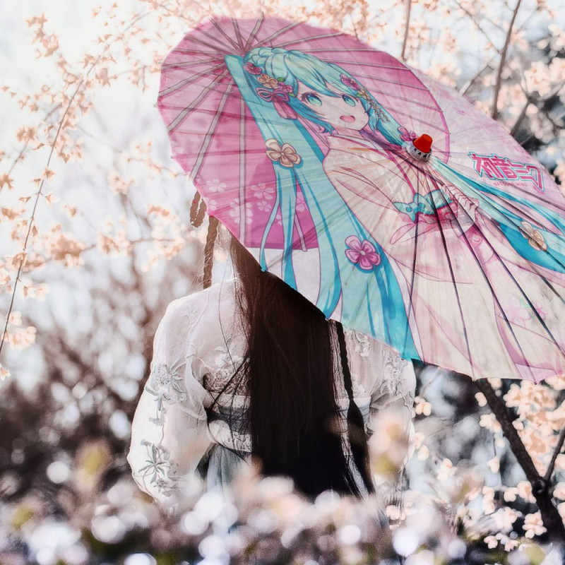 Hatsune Miku Miku Paper Umbrella Regenschirme