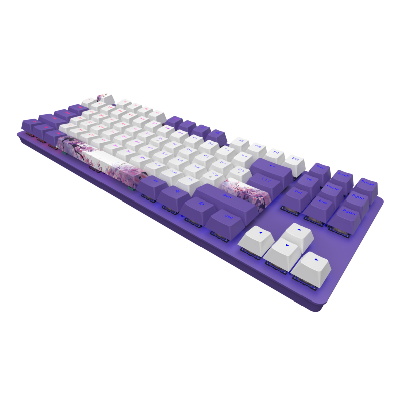 FS-DPO 87 Violet Horizons ANSI Dark Project One - 87 Violet Horizons RGB ANSI Keyboard QWERTY