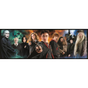 HARRY POTTER - Good vs Evil - Panorama Puzzle 1000P