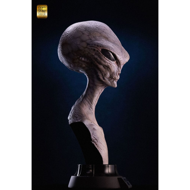 Bust 1/1 Reptilian Gray 56 cm