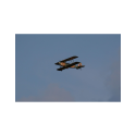 Avion VQ Model Tiger Moth 46 size EP-GP