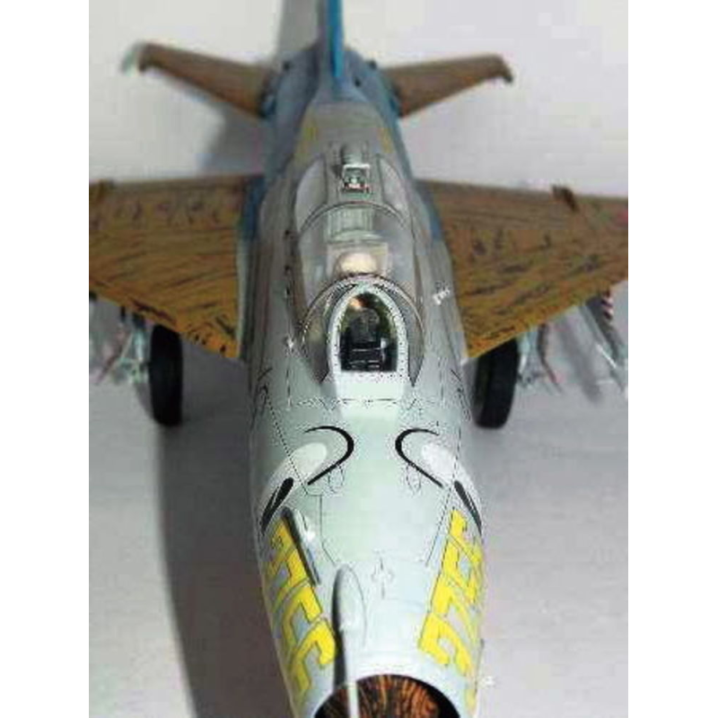 MIG- 21UM Mongol B