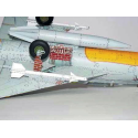 MIG- 21UM Mongol B