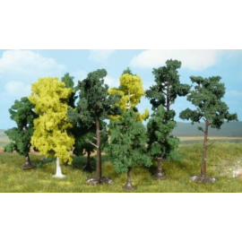 Sortiment mit 10 Bäumen 14-18 cm 