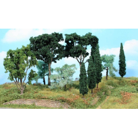 Satz mediterraner Bäume, 11 Bäume von 8 bis 17 cm 