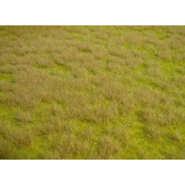Wilder Savannengrasteppich 45 x 17 cm 