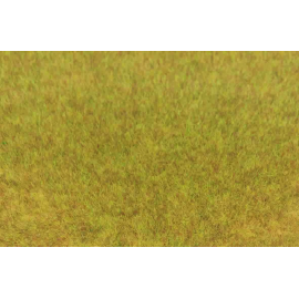 Beutel mit 75 g wildem Herbstgras 5–6 mm 