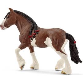 Clydesdale-Stute