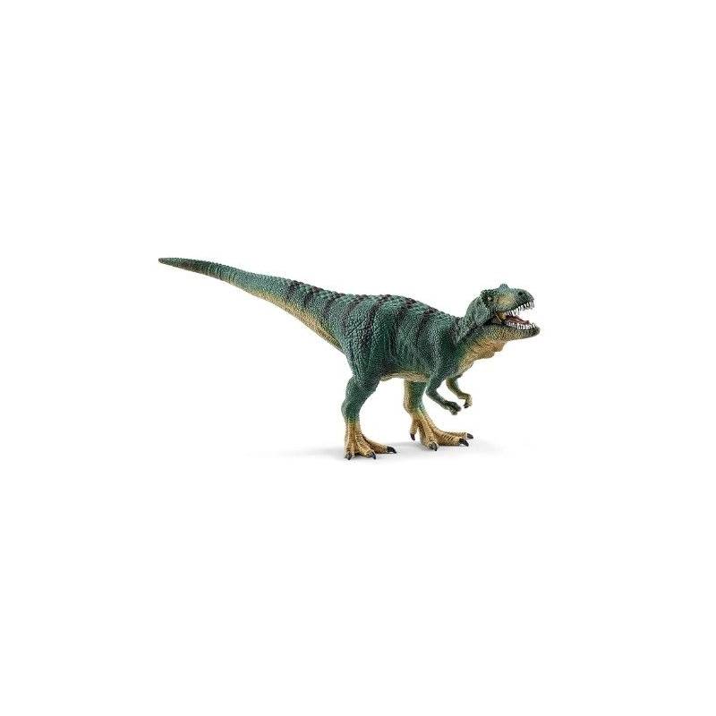 Junger Tyrannosaurus Rex