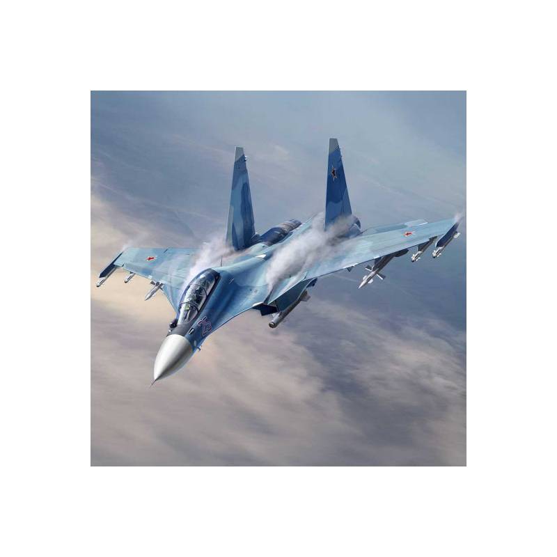 Plastic model aircraft Sukhoi Su-30SM Flanker-H 1:48