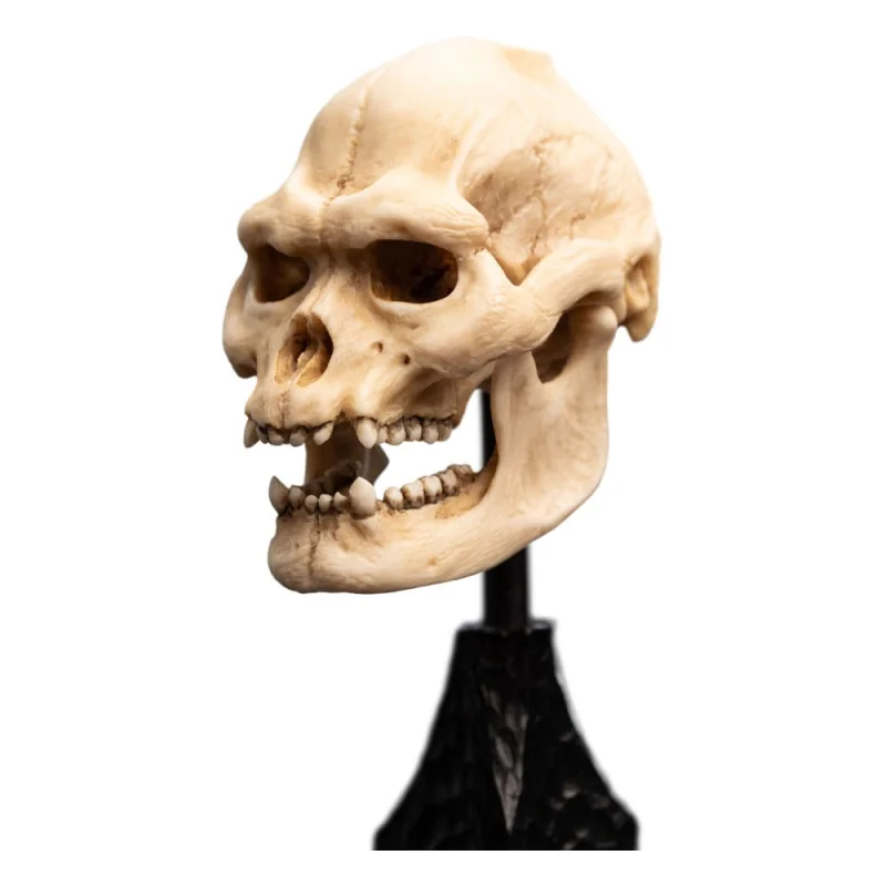 The Lord of the Rings Skull of Lurtz statuette 14 cm Statuen