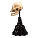 The Lord of the Rings Skull of Lurtz statuette 14 cm