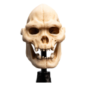 The Lord of the Rings Skull of Lurtz statuette 14 cm