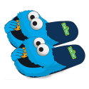 1, Sesame Street - SM Slippers 