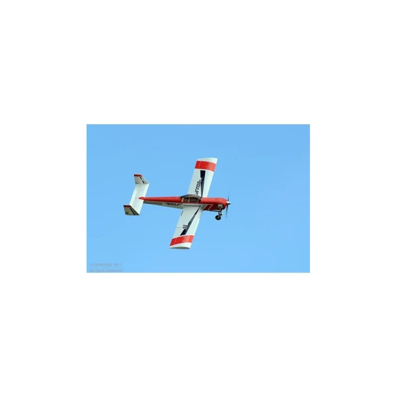 Ecotop Bidule 55 V3 ARF aircraft approx. 2.46m Rc Flugzeug