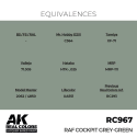 AK INTERACTIVE: Real Colors RAF Cockpit Grey-Green 17 ml. AK Interactive