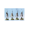 Perry Miniatures – Napoleonische österreichische „deutsche“ Infanterie Historische Figuren