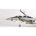 F-14A Tomcat USNAVY VF-84 Jolly Rogers AJ211 1978 Miniatur-Flugzeug