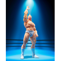 Kinnikuman Perfect Origin Arc Kinnikuman Shf