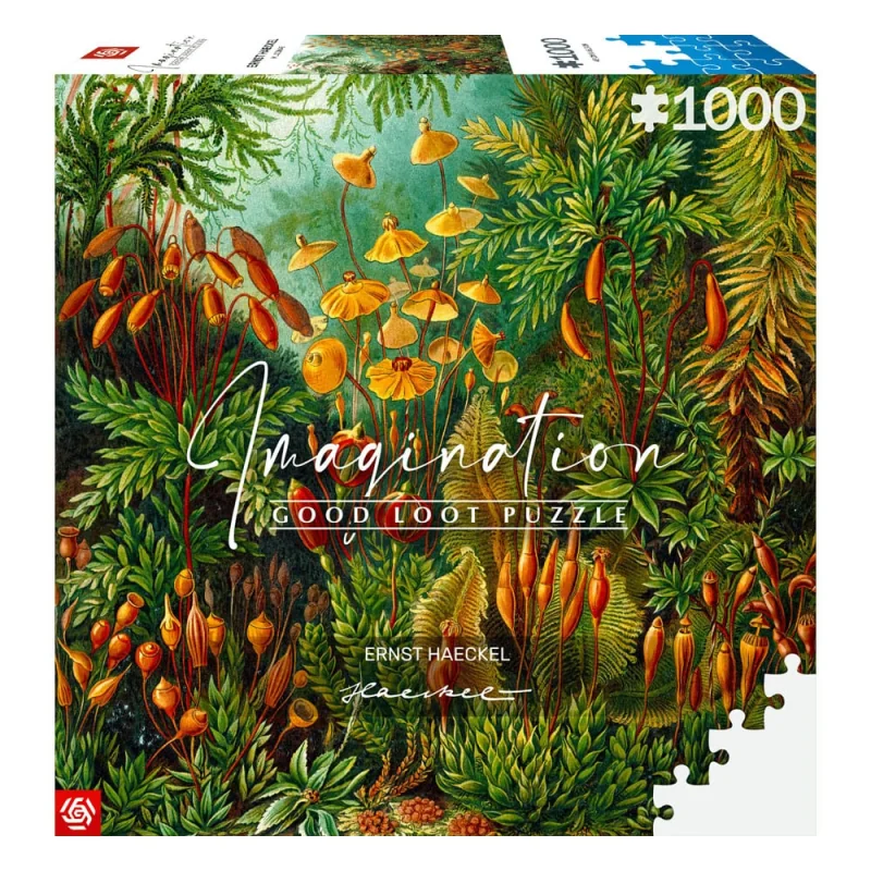 Ernst Haeckel puzzle Imagination Muscinae (1000 pieces) Puzzle