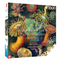 GOLO-24494 Ernst Haeckel puzzle Imagination Sea Anemones/Stworzenia morskie (1000 pieces)