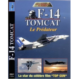 F-14 Tomcat - Le prédateur