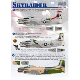 Decal Skyraider 