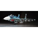 Sukhoi Su-33 FLANKER D