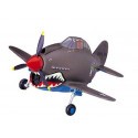 EGG PLANE P-40 WARHAWK