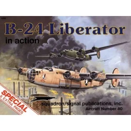 B-24 Liberator IN AKTION