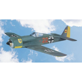 Focke Wulf FW -190 RC Flugzeug